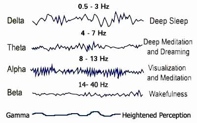 Brain state chart