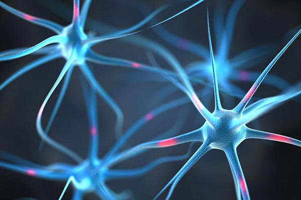 How Gamma Brainwaves Improve Memory & Concentration